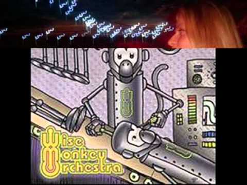 Thyme - Wise Monkey Orchestra - They Live