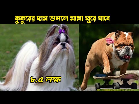 ৫ টি সোনার থেকেও দামি কুকুর | 5 Most Expensive Dog | mayajaal | মায়াজাল | Pinikpi