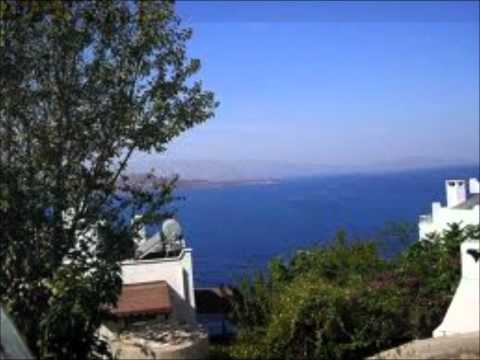 Summer Jam - Underdog Project