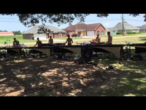 Bluecoats 2015 - Front Ensemble
