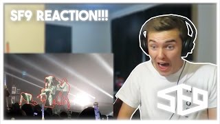 SF9 - Jungle Game Dance Video Reaction!!! [I LOVE THEIR CHOREOGRAPHY!!!]