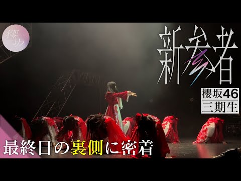 【櫻坂三期生】「新参者 LIVE」最終日の裏側に密着！【#櫻三期_満開】