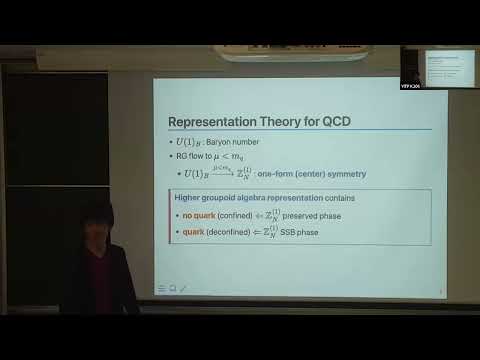 Ohmori Kantaro  -Higher Representation Theory and Phases of Gauge Theories (20250605)
