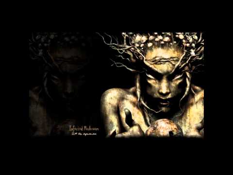 Infected Mushroom - IM the supervisor (Sektor V Rework) Live