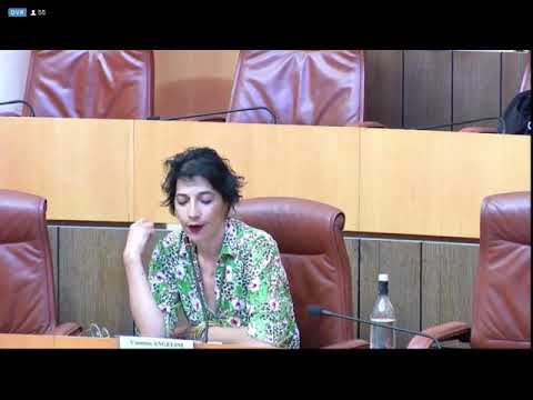 Intervenzione di Vannina Angelini Buresi