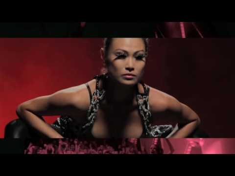 Alex Gaudino Feat  Taboo   I Don't Wanna Dance Official Video