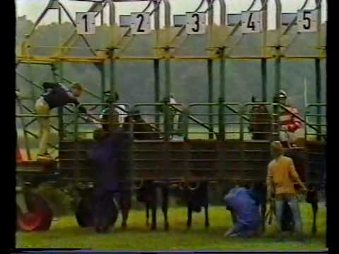 30.DDR-Derby Zingaro Berlin Hoppegarten und Corrida***