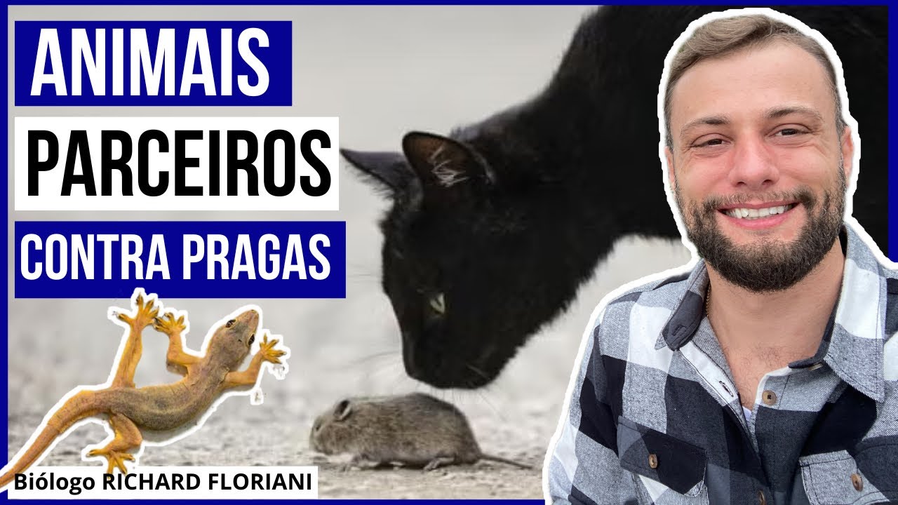 Animais que te ajudam no controle de pragas