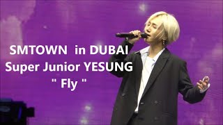 [윤호FANCAM]ユノペンが撮影したSJ YESUNG " Fly " DUBAI 180406