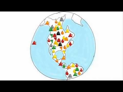 Crisis Cleanup