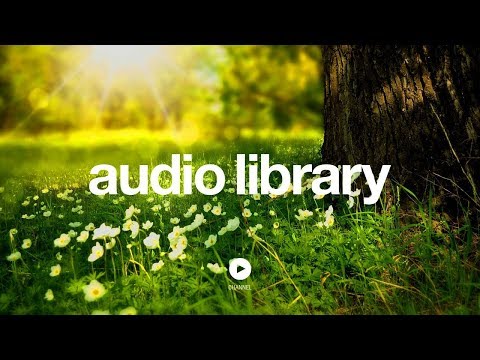 Tracks Of My Fears – John Deley and the 41 Players (No Copyright Music)