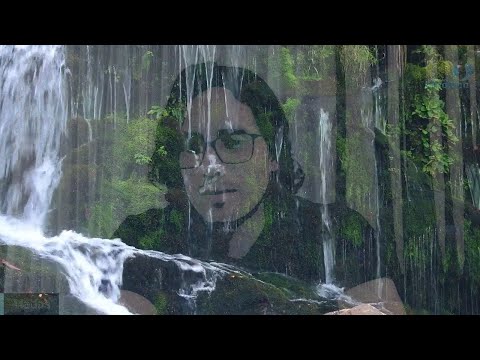 Day 333 STREAMS Talk and Alignment - Matias De Stefano - English Edit