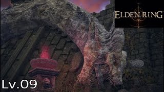 【ELDEN RING】寝違えドラゴン【ネタバレ注意】