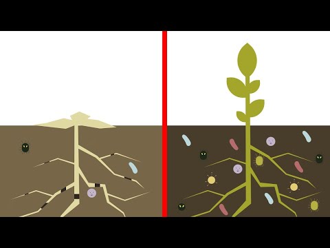 Best4Soil: Soil organic matter – Practical Information PT