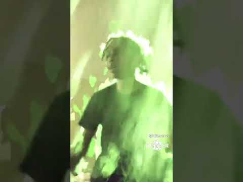 swervo flocca snippest