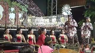 Download lagu Story WA percil lucu🤣🤣 mp3