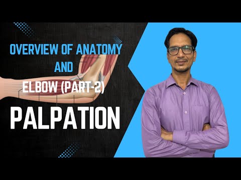Elbow Joint Palpation | Anatomy Landmarks
