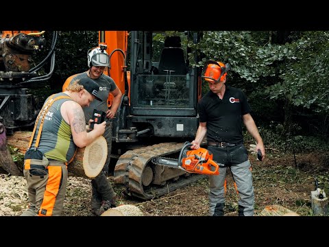 Husqvarna 592 XP vs STIHL MS500i