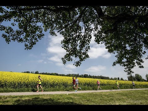 Wings for Life - LIVE aus Zug