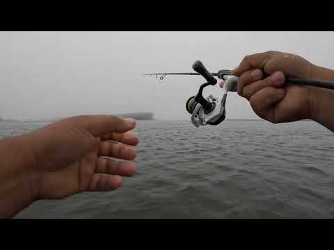 Pescando Pejerrey con señuelos de aliexpress en Puerto Saavedra 