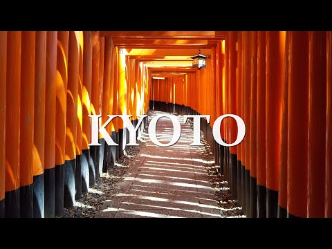 🇯🇵 2-Days Kyoto🌸 Spring Trip by Shinkansen🚄 Fushimi Inari , Arashiyama , Kiyomizu Temple⛩️