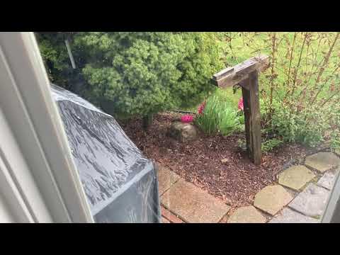 Everyone Says I Love You