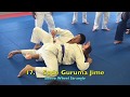 TURTLE TURN OVERS ATTACKS Compilation Of Techniques