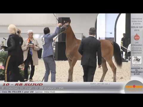Berlin Cup Werder 2015 - Fillies 1 year old (Class 3B) - N.10 RB SUJUD