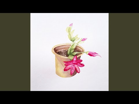 Não Sou Bom Com Despedidas - Cadu Scalet