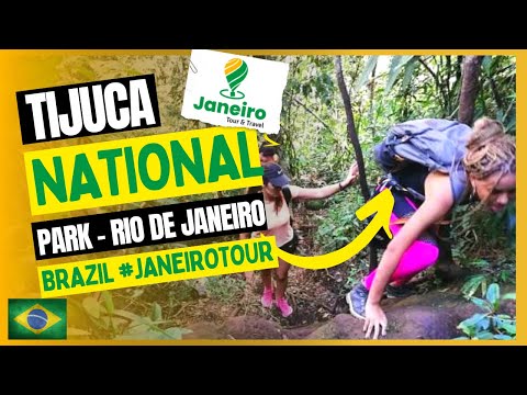 Largest Urban Forest: Tijuca National Park | Rio de Janeiro, Brazil @JANEIRO TOUR & TRAVEL