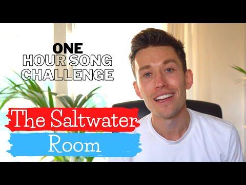 Remaking THE SALTWATER ROOM by OWL CITY in ONE HOUR | ONE HOUR SONG CHALLENGE