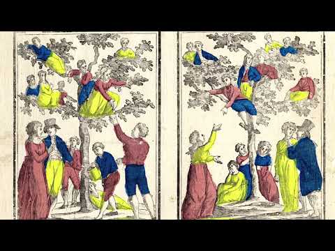 't Oude Slot Veldhoven - Frank van Oortmerssen over de collectie en meer