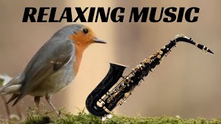 Música relaxante - Saxofone - Relaxing music | Sem Diretos Autorais