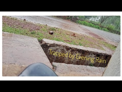 Trapped By Evening Rain, Digant Naik