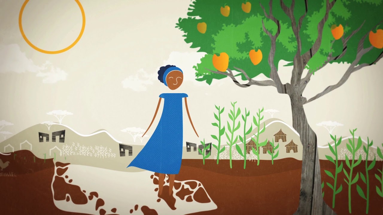 #EXPLICAMOS™ Equidad de Genero (By WorldFish) #videoexplicativo