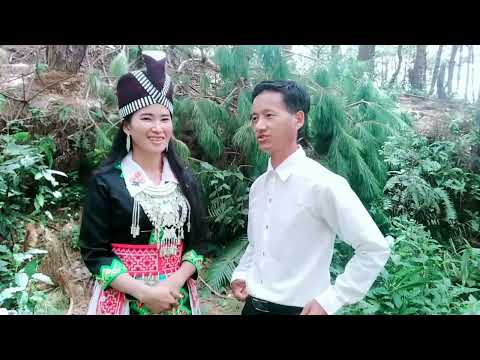 yias thoj ntxhi yaj kwv txhiaj sib Tau saib kom tsim txiaj