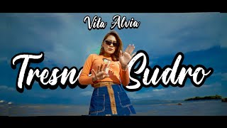 Download lagu Vita Alvia - Tresno Sudro ( Story Wa ) mp3
