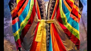 Emmylou Harris - Coat of Many Colors