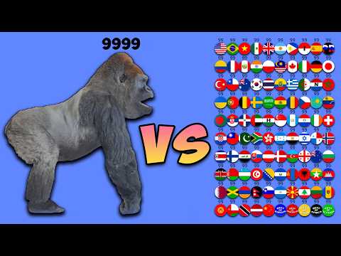 100 Country Marbles vs One Gorilla… The Ultimate Showdown!