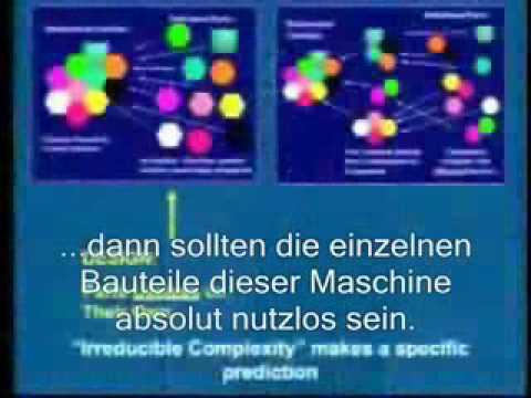 Irreduzierbare Komplexität?