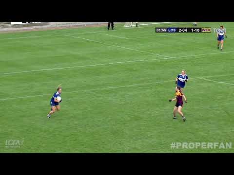 Laois v Wexford - TG4 All-Ireland Intermediate Championship Semi Final 2