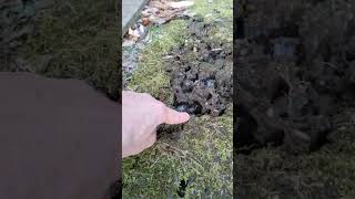 Frost Heave Example #frostheave #frost #frostdamage #askthebuilder #timcarter