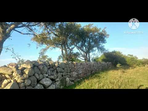 29 de abril. Abrazo del Monzón.