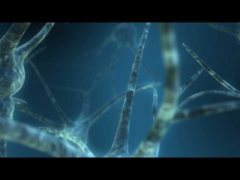 RSD - Depend (Lovas mix)