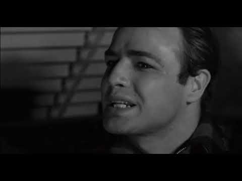 ThatClip from On the Waterfront - I Coulda Been a Contender FULL