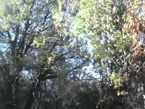 The Parting Glass sung by The Voice Squad