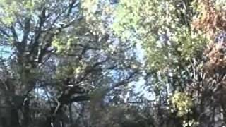 The Parting Glass sung by The Voice Squad