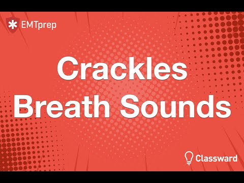 Coarse and Fine Crackles Animation - EMTprep.com