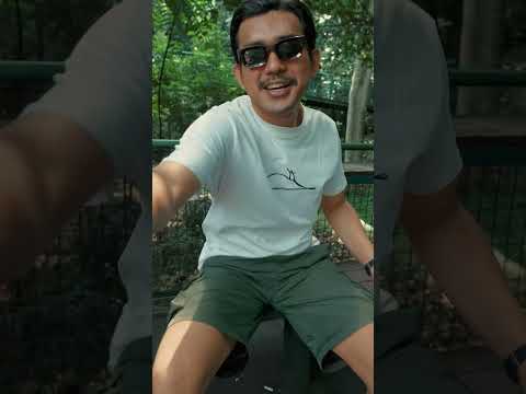 Preview Video OZAN