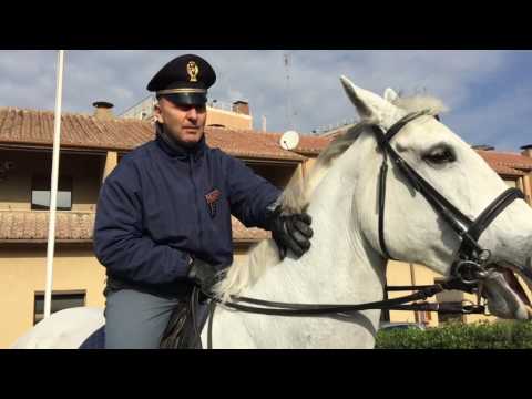 Dolore al petto irradia alla schiena e al collo Dolorante lato destro da dietro e si arrende
